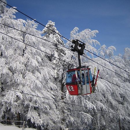 Pohorje Village Wellbeing Resort - Forest Apartments Videc Hočko Pohorje Kültér fotó