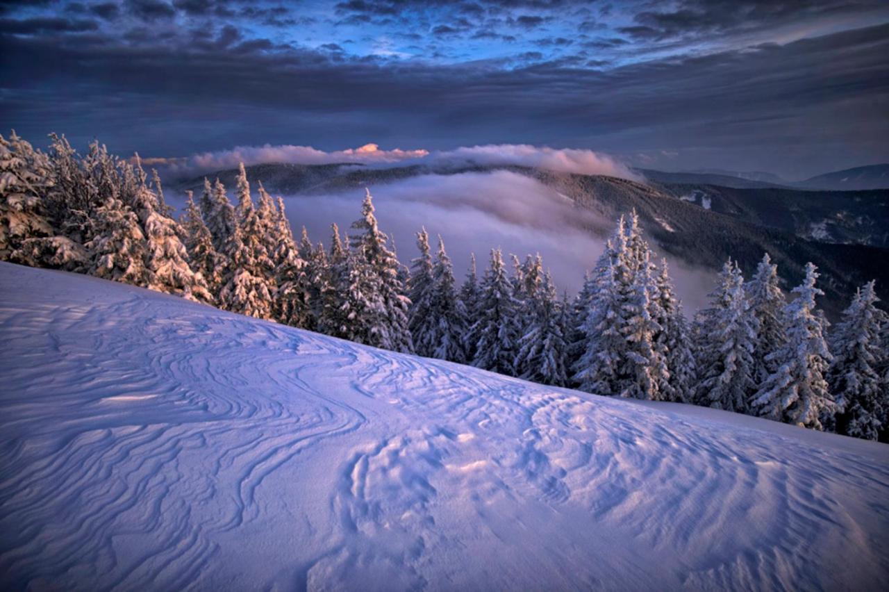 Pohorje Village Wellbeing Resort - Forest Apartments Videc Hočko Pohorje Kültér fotó