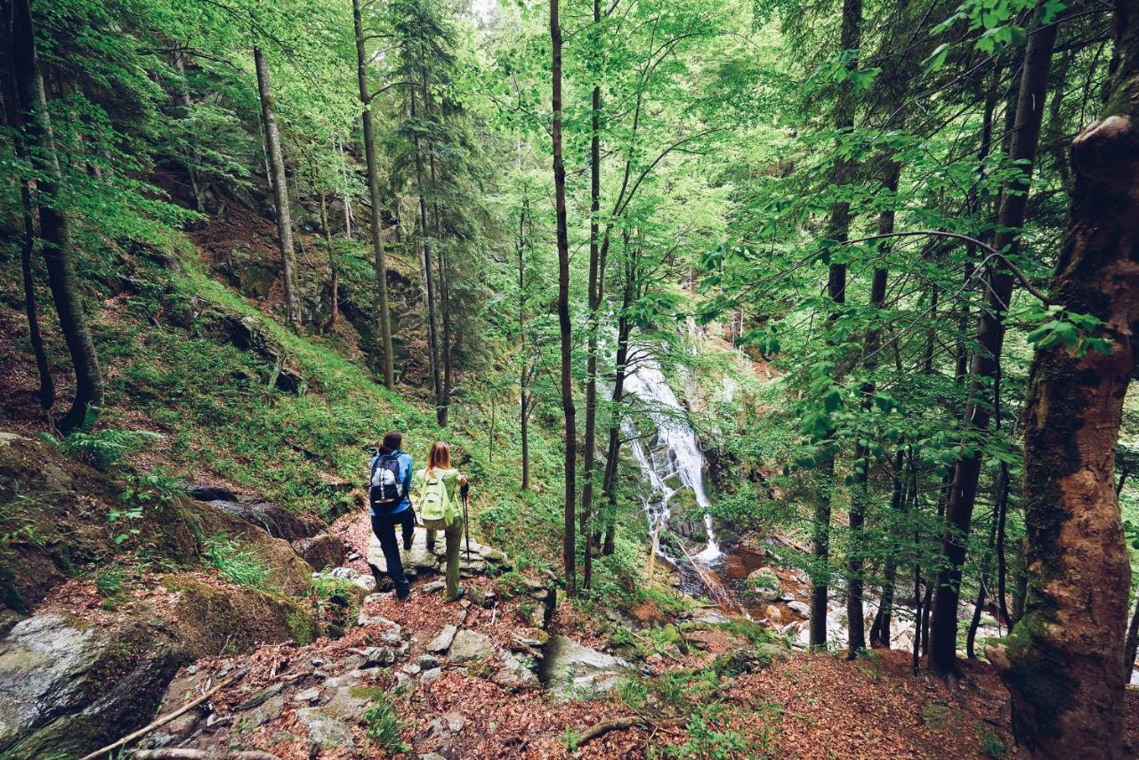 Pohorje Village Wellbeing Resort - Forest Apartments Videc Hočko Pohorje Kültér fotó