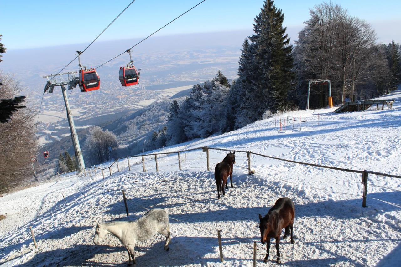 Pohorje Village Wellbeing Resort - Forest Apartments Videc Hočko Pohorje Kültér fotó