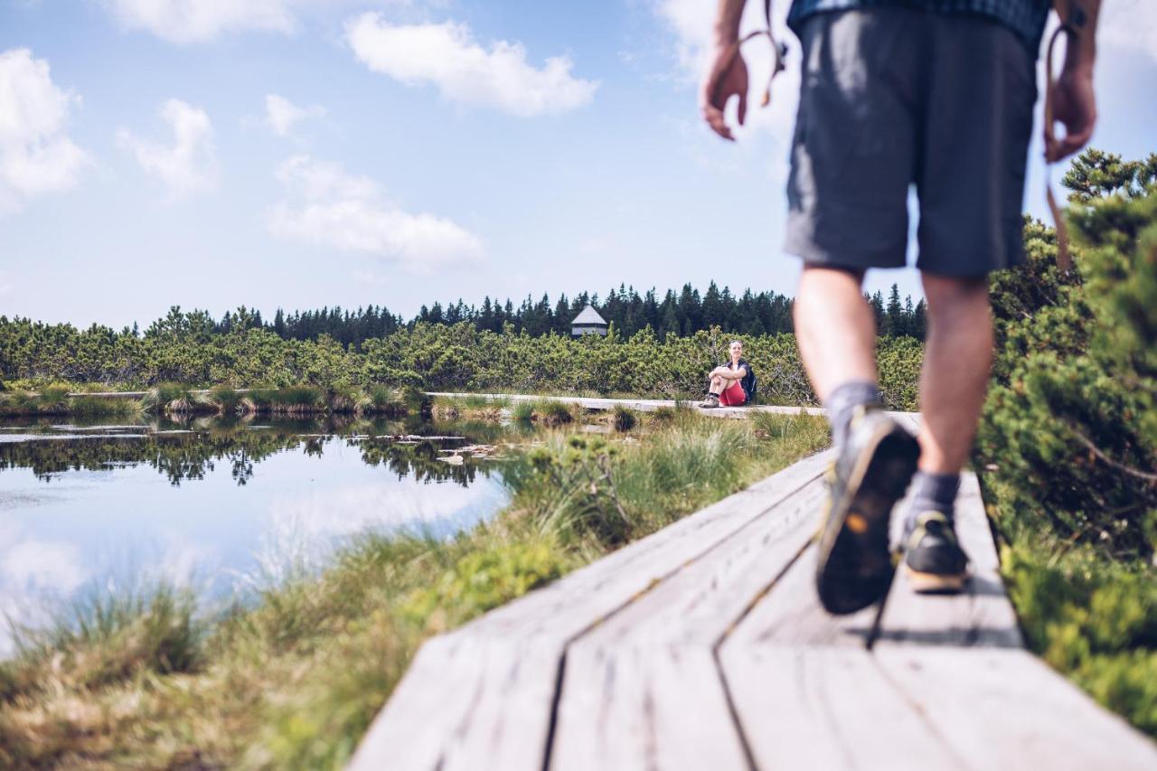 Pohorje Village Wellbeing Resort - Forest Apartments Videc Hočko Pohorje Kültér fotó