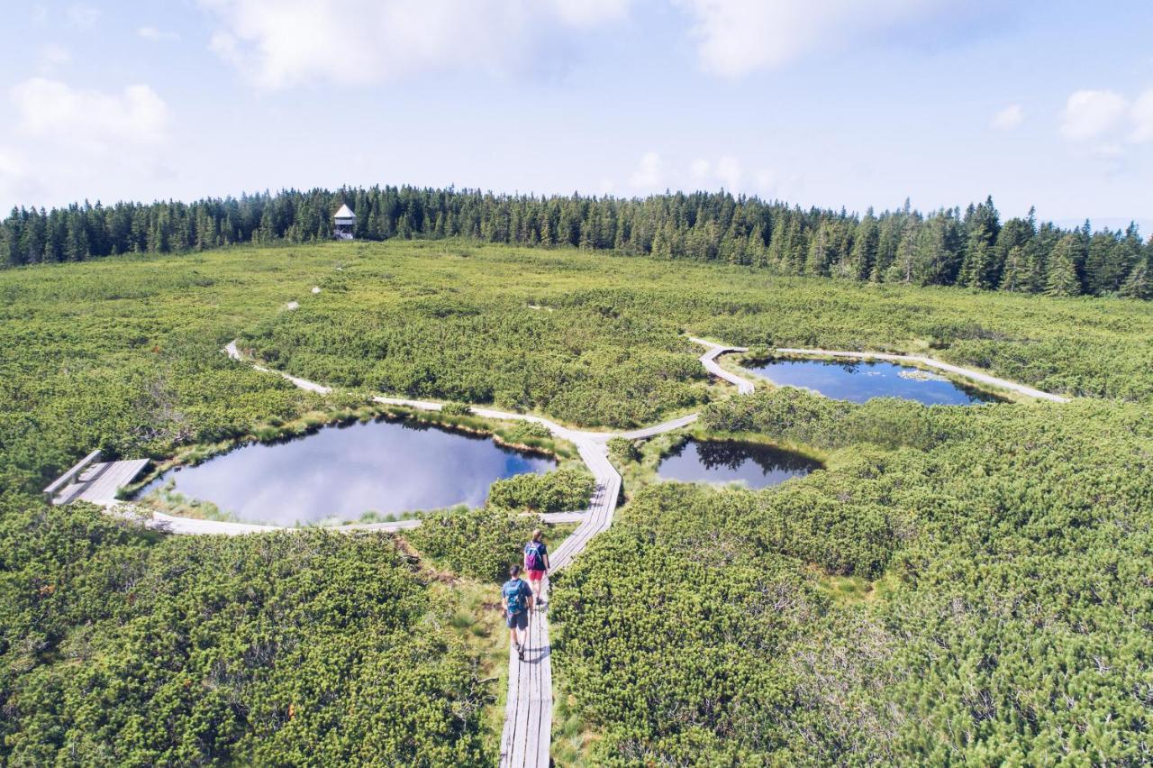 Pohorje Village Wellbeing Resort - Forest Apartments Videc Hočko Pohorje Kültér fotó