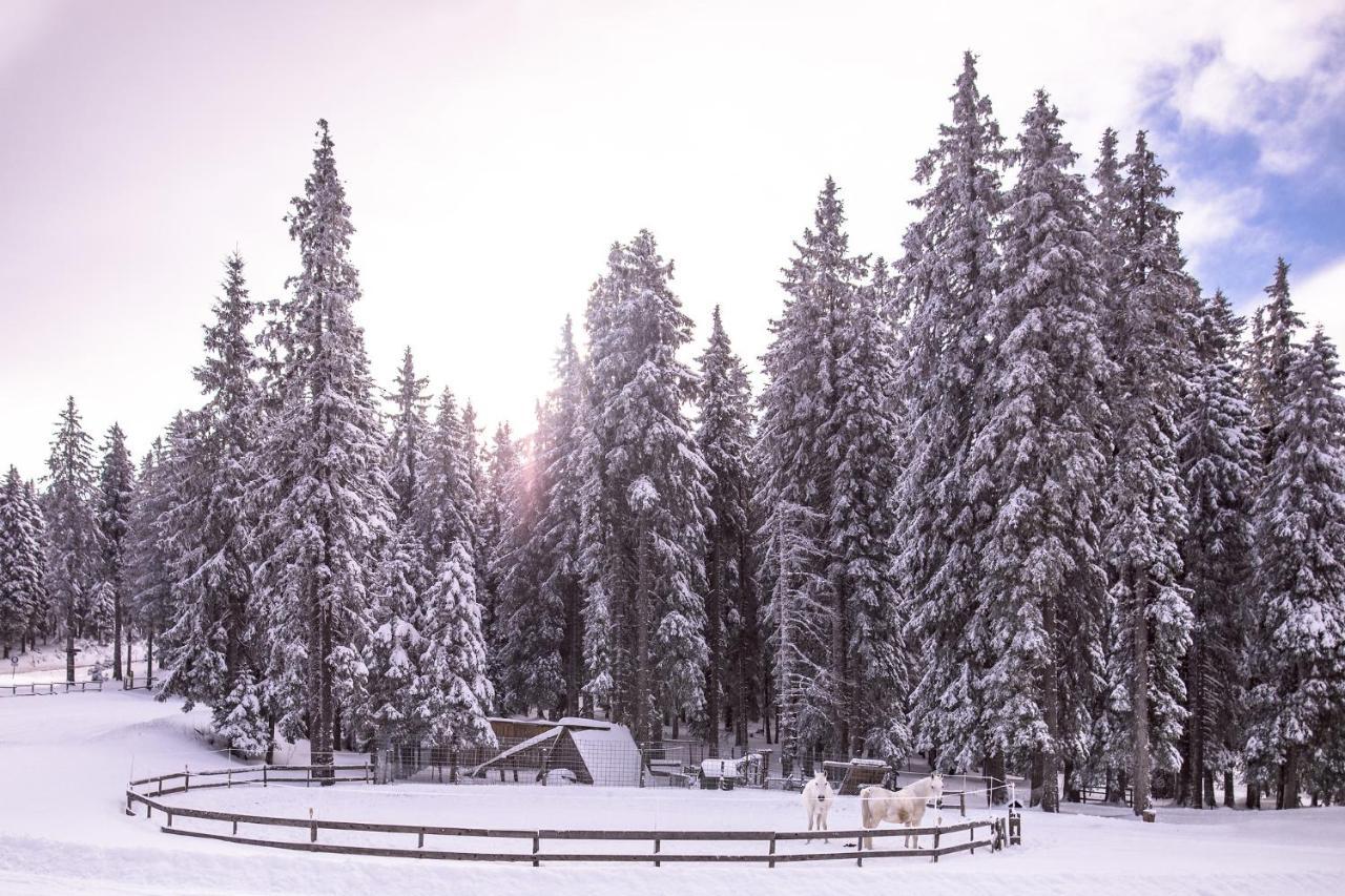 Pohorje Village Wellbeing Resort - Forest Apartments Videc Hočko Pohorje Kültér fotó