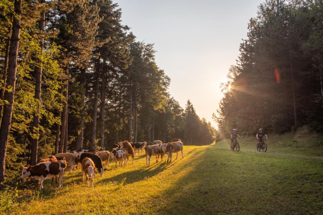 Pohorje Village Wellbeing Resort - Forest Apartments Videc Hočko Pohorje Kültér fotó
