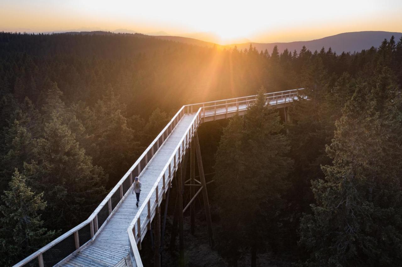 Pohorje Village Wellbeing Resort - Forest Apartments Videc Hočko Pohorje Kültér fotó