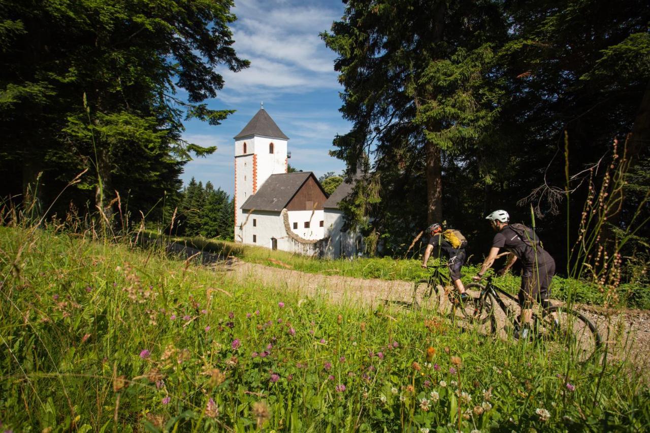 Pohorje Village Wellbeing Resort - Forest Apartments Videc Hočko Pohorje Kültér fotó