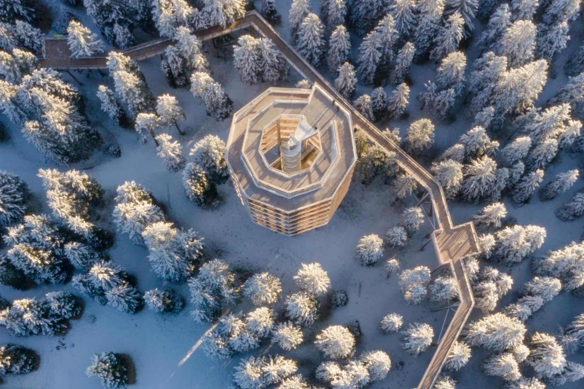 Pohorje Village Wellbeing Resort - Forest Apartments Videc Hočko Pohorje Kültér fotó