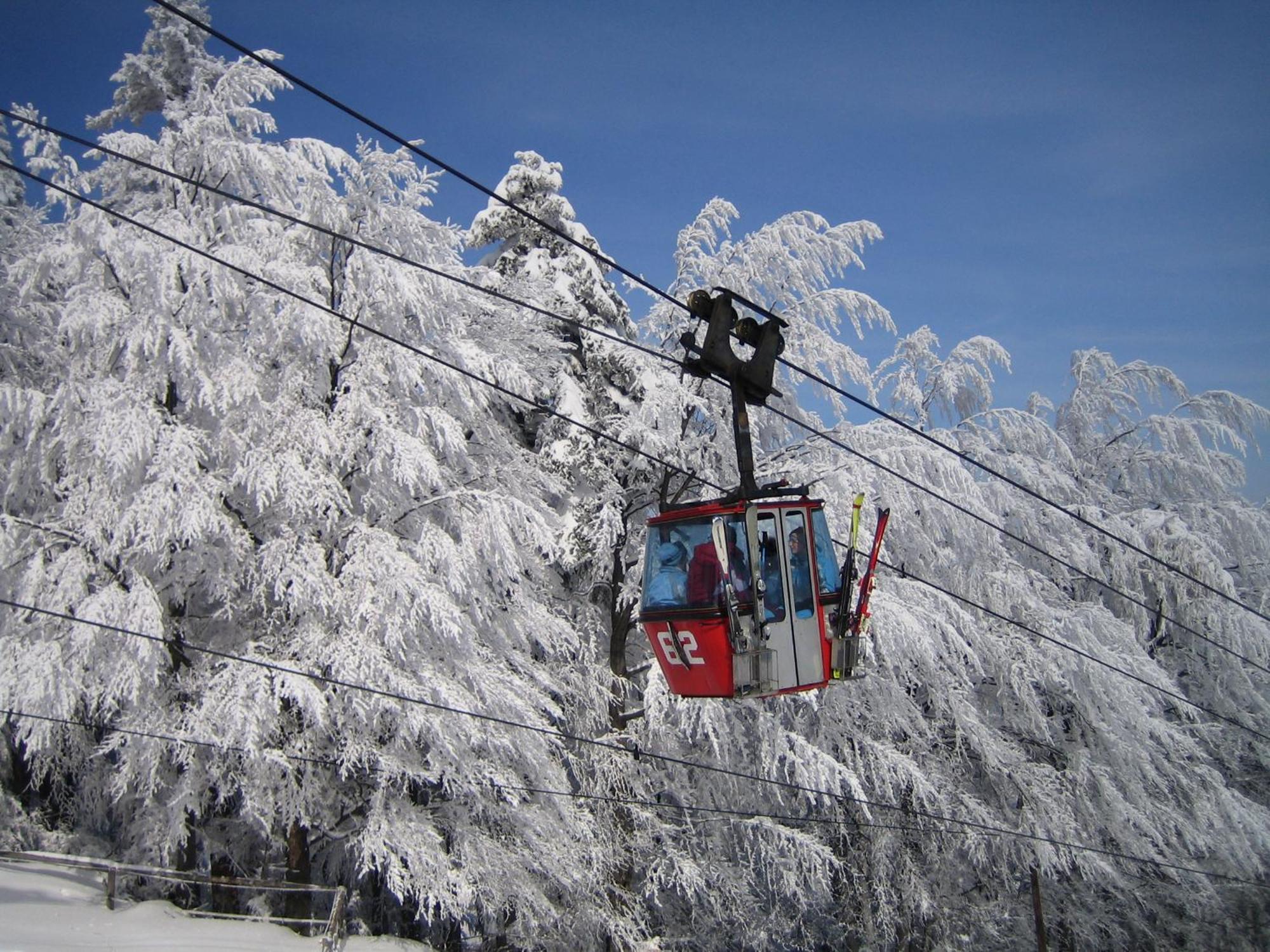 Pohorje Village Wellbeing Resort - Forest Apartments Videc Hočko Pohorje Kültér fotó